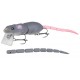 BBZ1 RAT 50 GREY GHOST