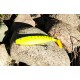 Dozbrojka Expert 10cm, kotwica nr2, 2szt